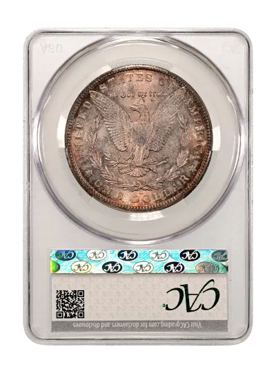 CAC Grading Coin Reverse