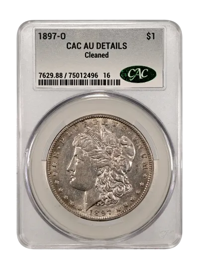 CAC Grading Coin Obverse