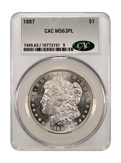 CAC Grading Coin Obverse