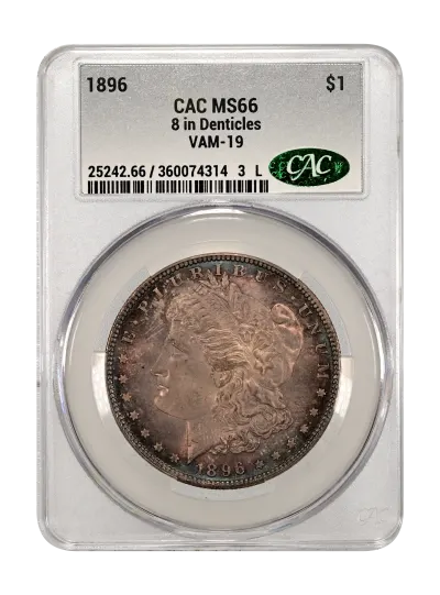 CAC Grading Coin Obverse