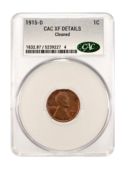 CAC Grading Coin Obverse