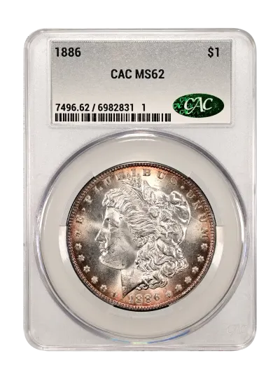 CAC Grading Coin Obverse