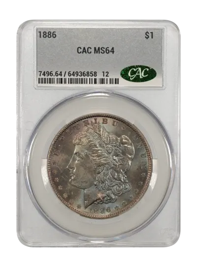 CAC Grading Coin Obverse