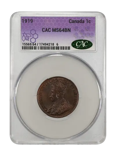 CAC Grading Coin Obverse