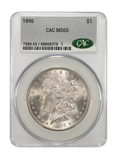 CAC Grading Coin Obverse