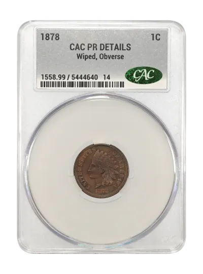 CAC Grading Coin Obverse