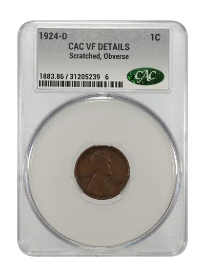 CAC Grading Coin Obverse