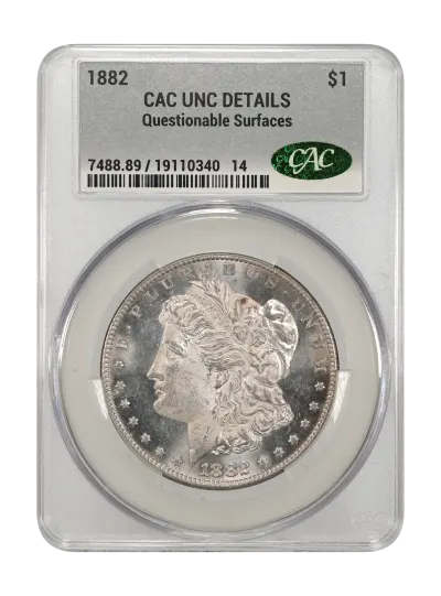 CAC Grading Coin Obverse