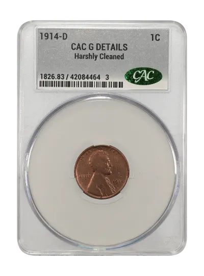 CAC Grading Coin Obverse