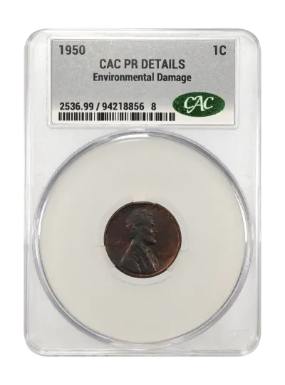 CAC Grading Coin Obverse