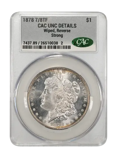 CAC Grading Coin Obverse