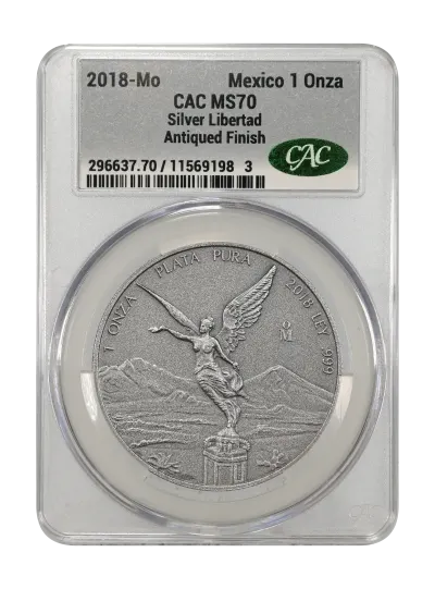 CAC Grading Coin Obverse