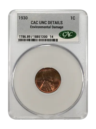 CAC Grading Coin Obverse