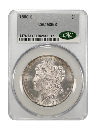 CAC Grading Coin Obverse