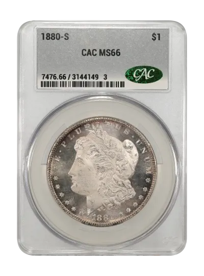 CAC Grading Coin Obverse