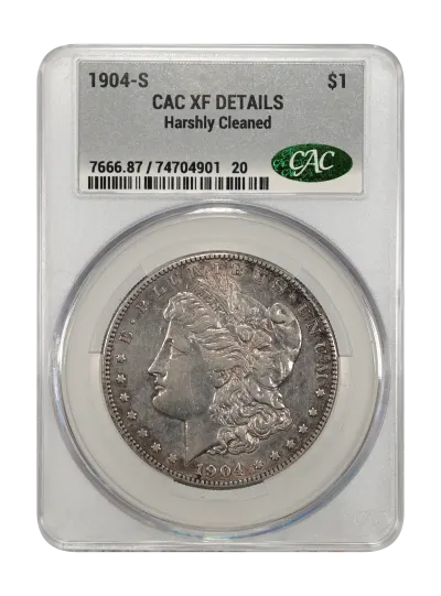 CAC Grading Coin Obverse
