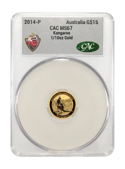 CAC Grading Coin Obverse