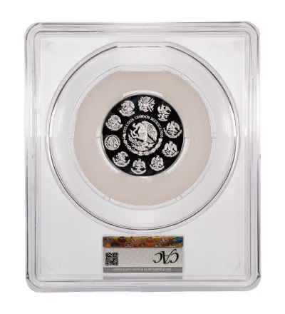 CAC Grading Coin Reverse
