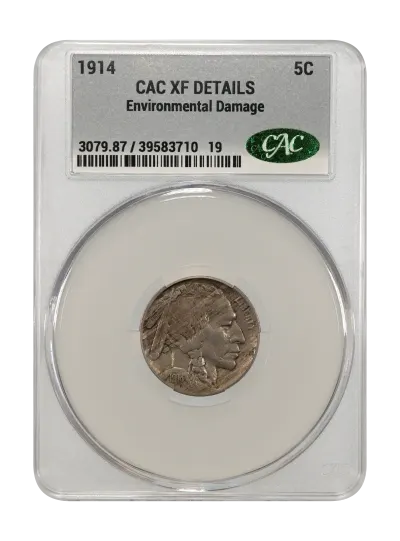 CAC Grading Coin Obverse