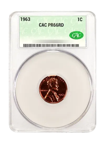 CAC Grading Coin Obverse