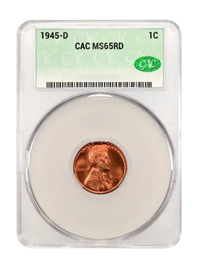 CAC Grading Coin Obverse
