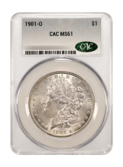 CAC Grading Coin Obverse