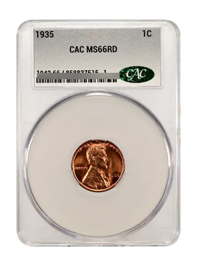 CAC Grading Coin Obverse