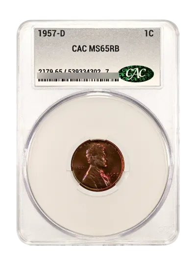 CAC Grading Coin Obverse