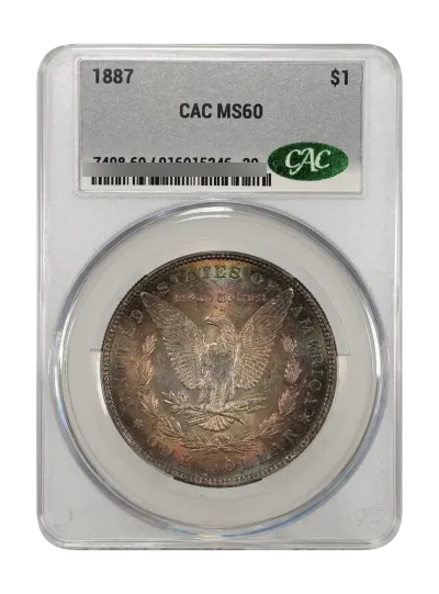 CAC Grading Coin Obverse