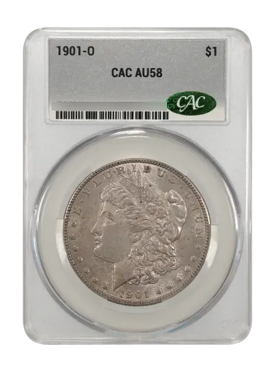 CAC Grading Coin Obverse
