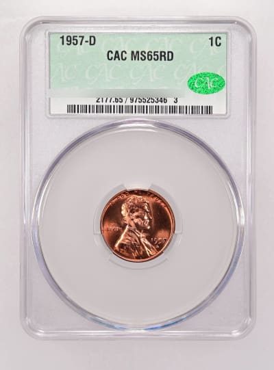 CAC Grading Coin Obverse