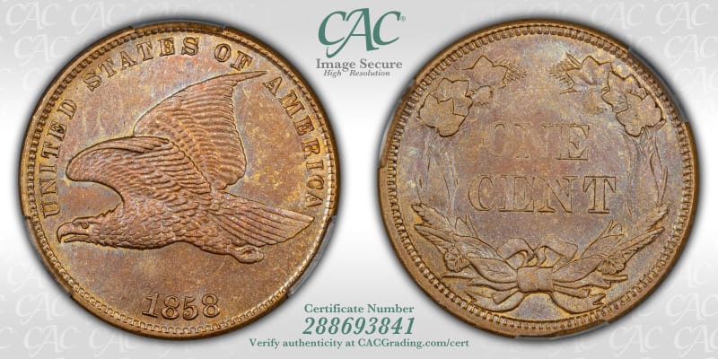 CAC Grading Coin Image Secure