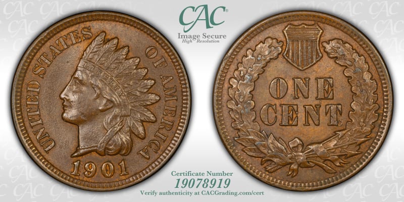 CAC Grading Coin Image Secure