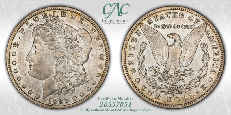 CAC Grading Coin Image Secure