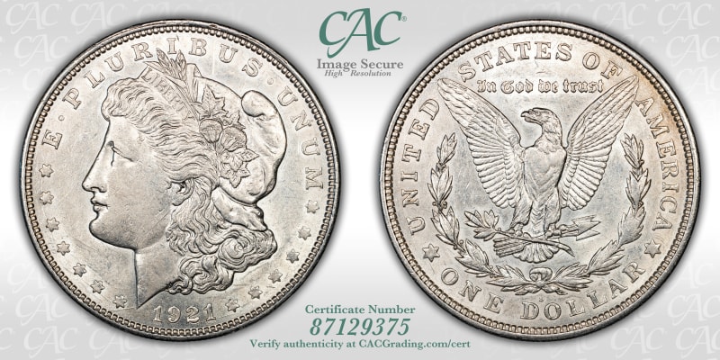 CAC Grading Coin Image Secure