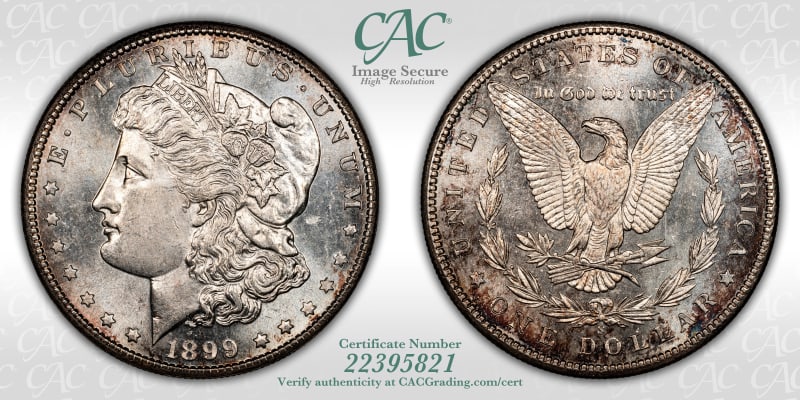 CAC Grading Coin Image Secure