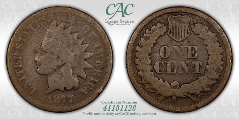 CAC Grading Coin Image Secure