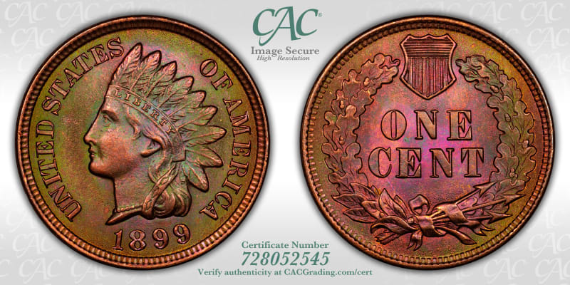 CAC Grading Coin Image Secure