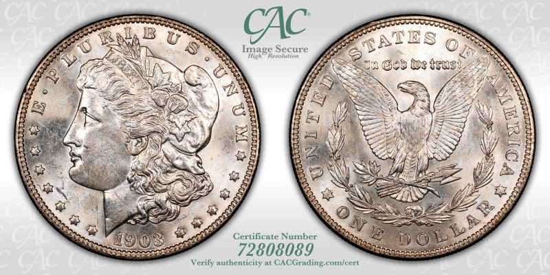 CAC Grading Coin Image Secure