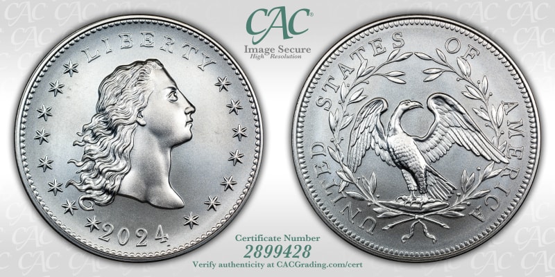 CAC Grading Coin Image Secure