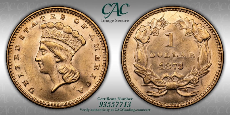 CAC Grading Coin Image Secure