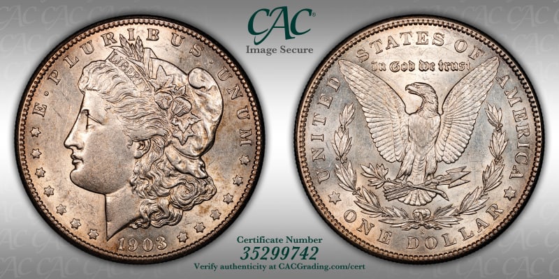 CAC Grading Coin Image Secure