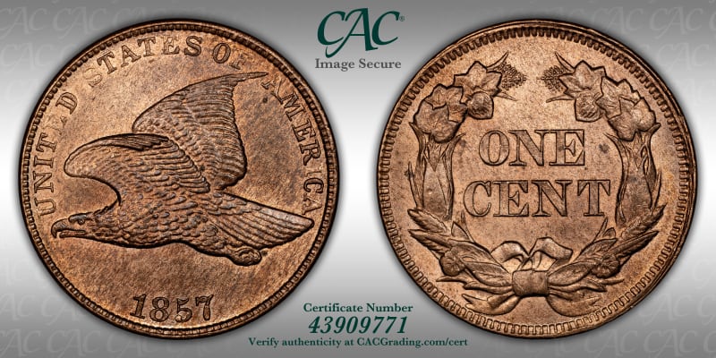 CAC Grading Coin Image Secure
