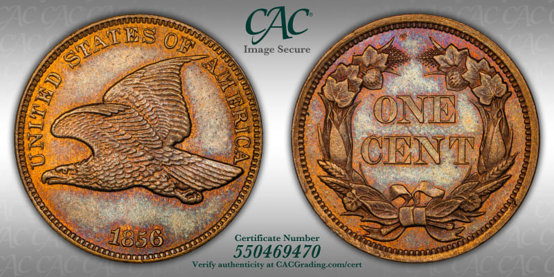 CAC Grading Coin Image Secure