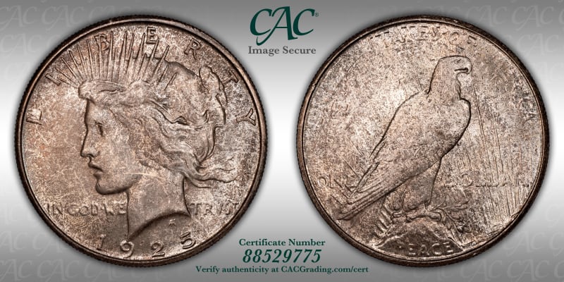 CAC Grading Coin Image Secure