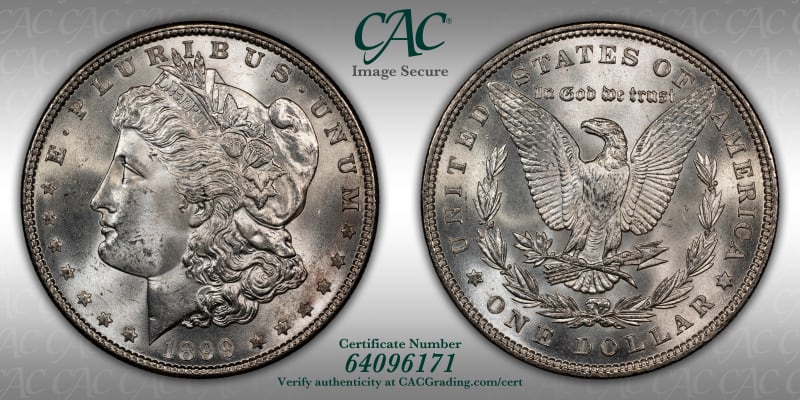 CAC Grading Coin Image Secure