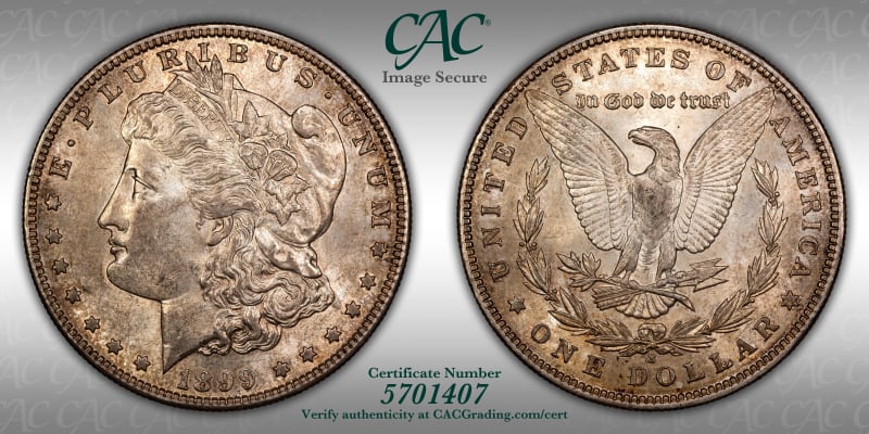 CAC Grading Coin Image Secure