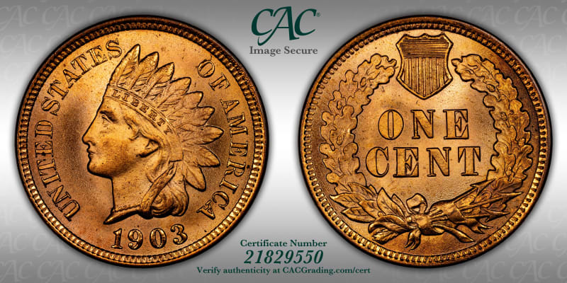 CAC Grading Coin Image Secure