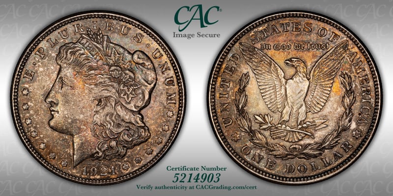 CAC Grading Coin Image Secure