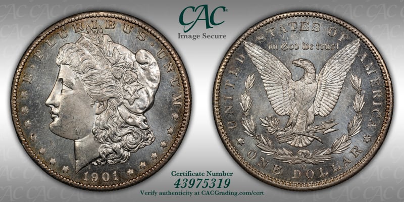 CAC Grading Coin Image Secure
